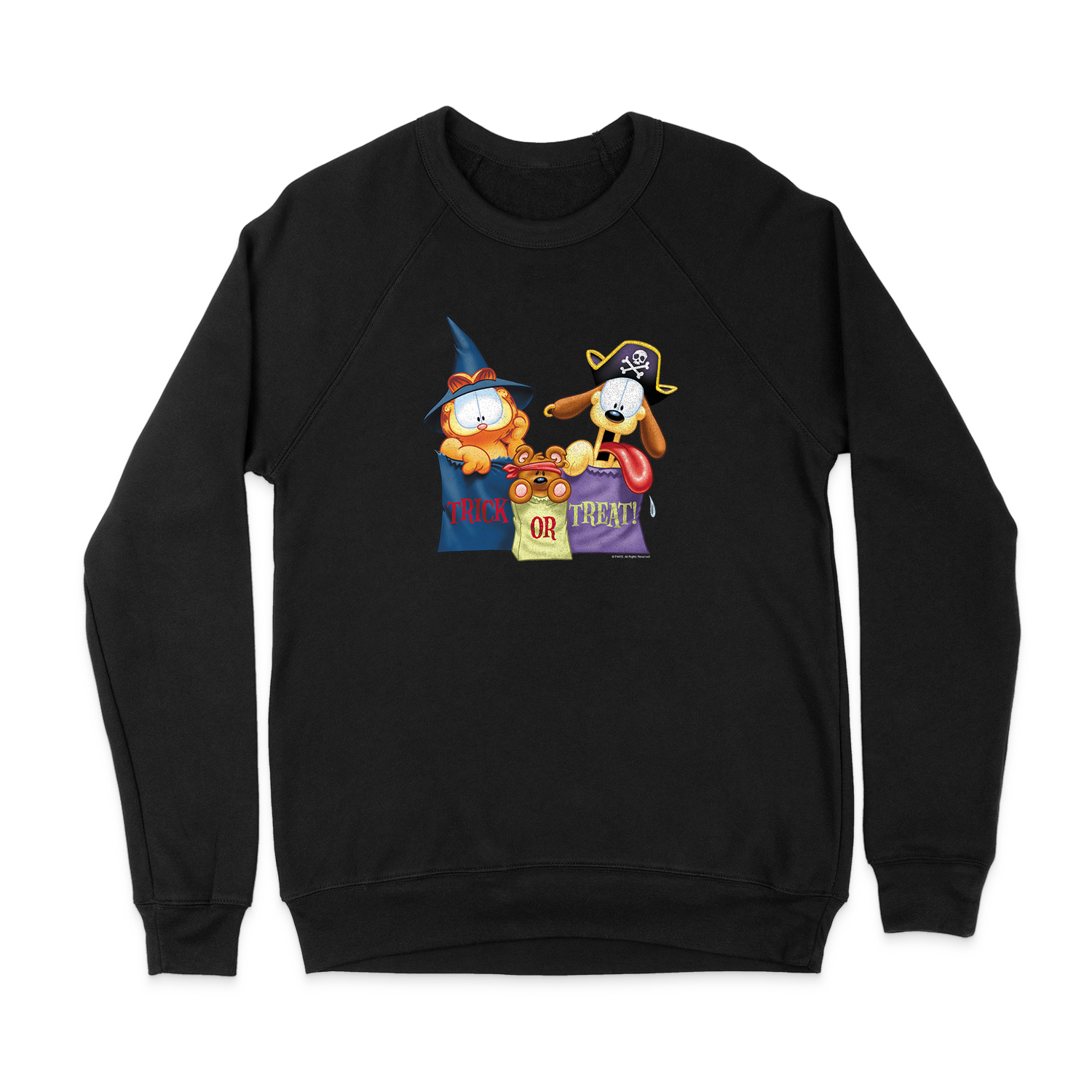 GARFIELD GRAB BAGS SWEATSHIRT